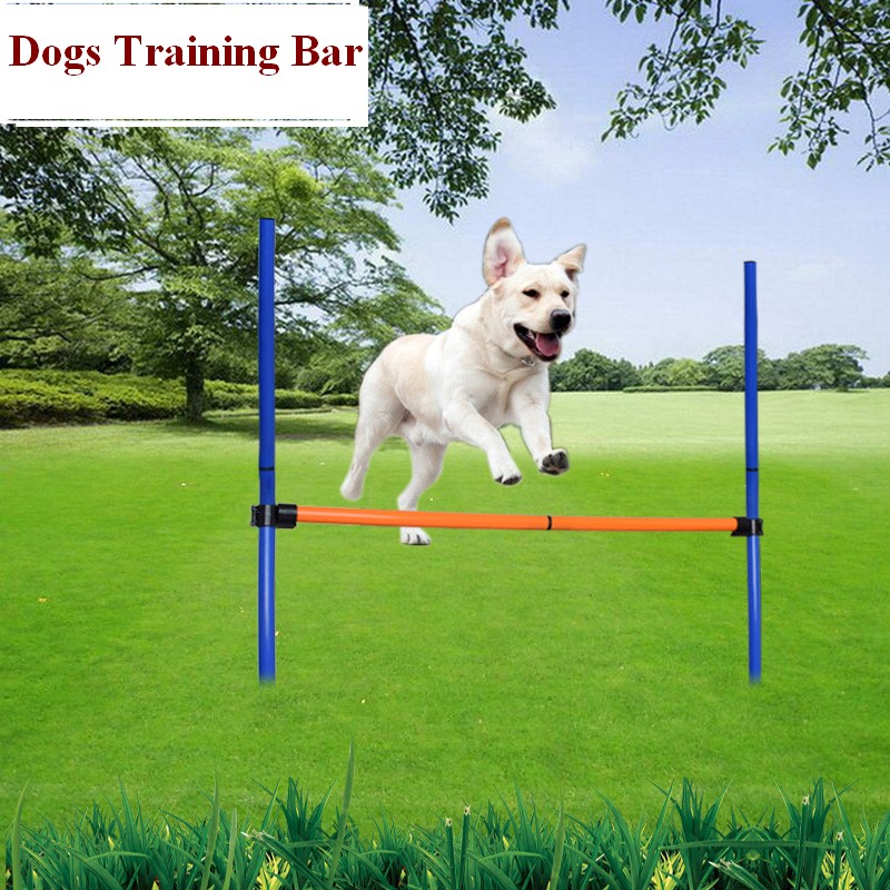مجموعة معدات تدريب العوائق لكل - مراجعة Sports Equipment Kit وسعره